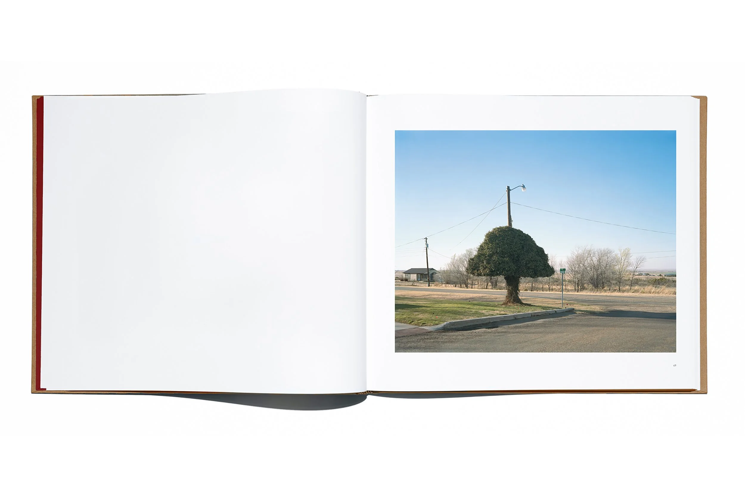 A PLAIN VIEW Special Edition 2025 — Jason Lee